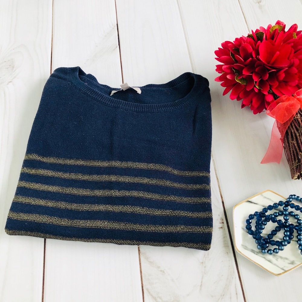 Gap Navy With Gold Stripes Sweater Size Small